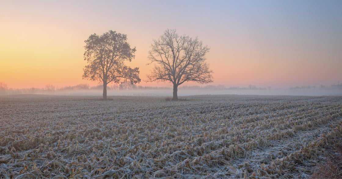 How to Prep Your Wellness Routine for Winter