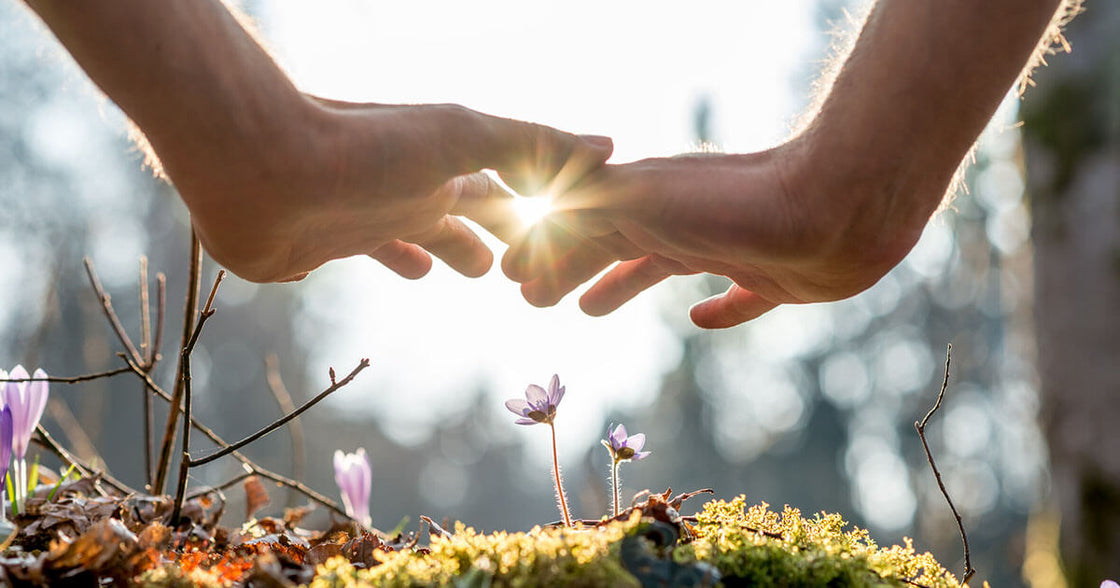 Celebrating Earth Month: Highlights from the Salus 2021 Sustainability Report